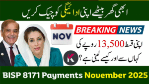 BISP 8171 Payments December 2025 – Who Will Receive This Month’s Support?