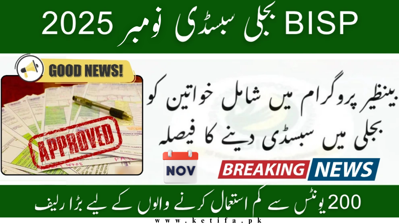 BISP Electricity Subsidy November 2025