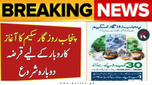 CM Maryam Nawaz Launches Punjab Rozgar Scheme 2025 – A Golden Opportunity for Youth Entrepreneurs