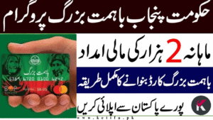 Ehsaas Ba Himmat Buzurg Program 2025: Complete Guide to Apply Online & Get Rs. 2,000 Monthly Support